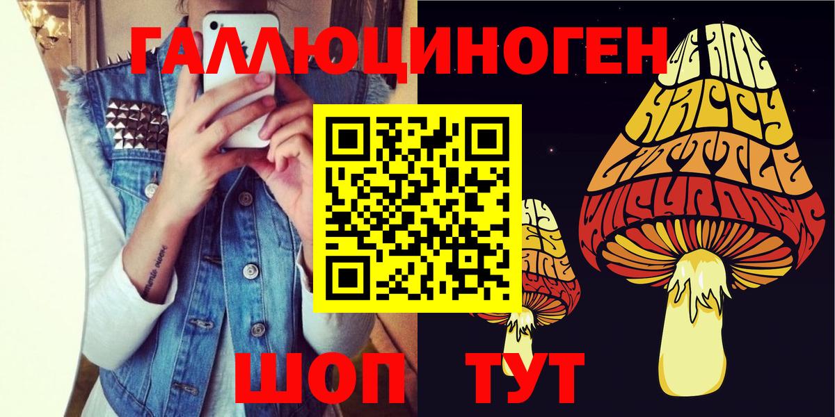 Прохладный  как найти закладки  Вход с VPN  Галлюциногенные грибы Psilocybe 