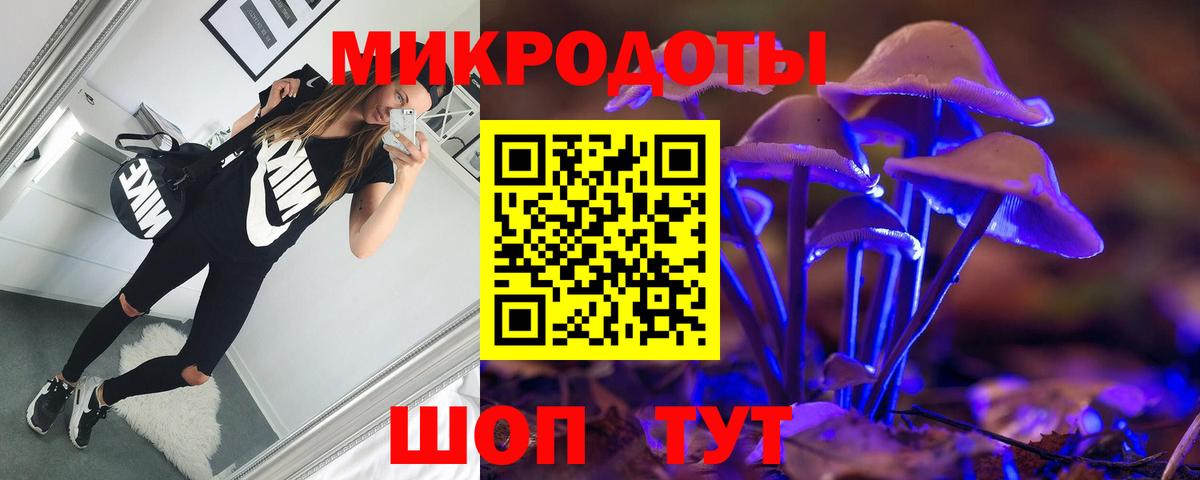Галлюциногенные грибы Psilocybine cubensis Прохладный